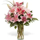 send lilies to manila, order lilies to manila philippines