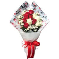 send 11 pcs. red and white ecuadorian roses to philippines