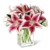 send pink lilies vase in philippines