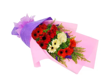 buy 12 red gerberas in bouquet in philippines