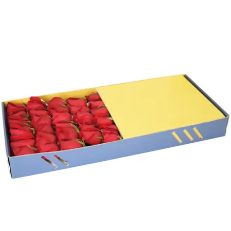 send 2 dozen red rose in box to philippines