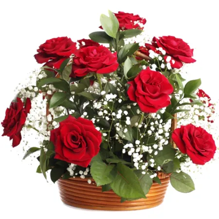 12 Red Roses In a Basket