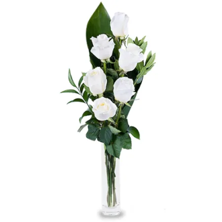 Half Dozen White Color Roses in Vase