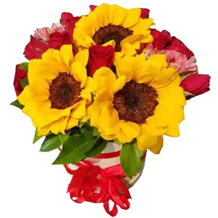 3 Pcs. Sunflower with 12 Red Roses in Box