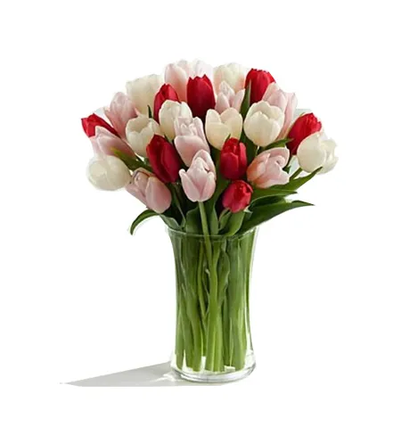 send 12 mix color tulips