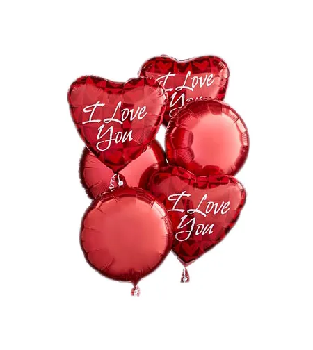 6 pcs I Love You Mylar Balloon