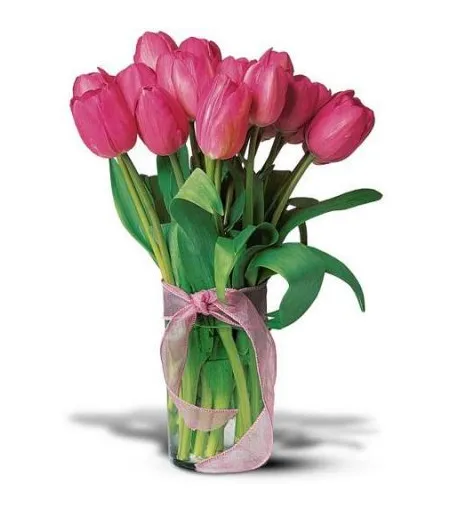 send 12 pink tulips to philippines