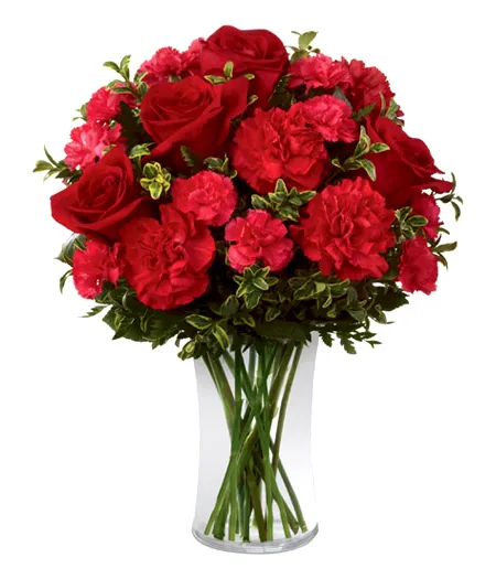 send 12 carnations and 6 red roses in vase to philippines