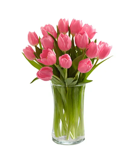 12 Pink Tulips send to philippines